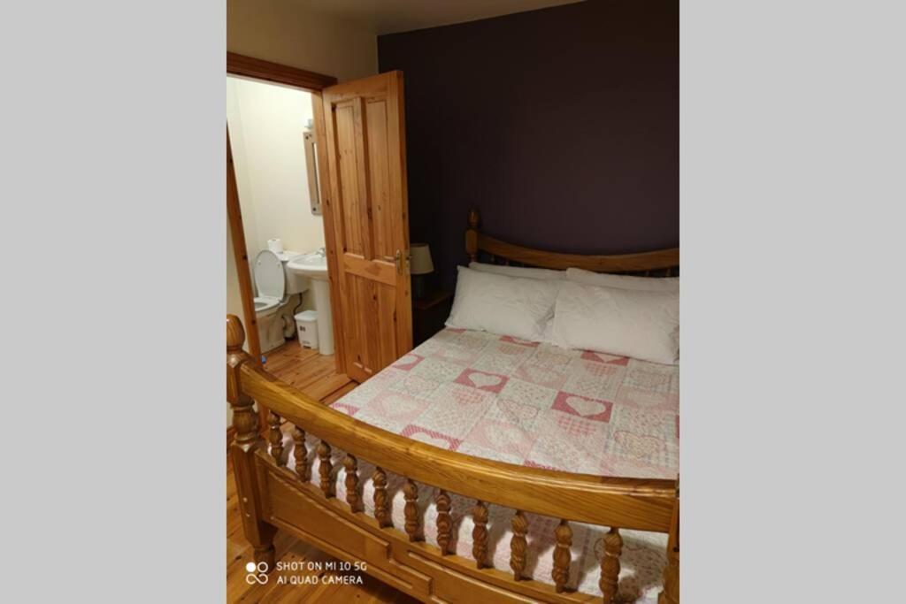 Вилла Townhouse 3 Barrow Lane Bagenalstown Экстерьер фото